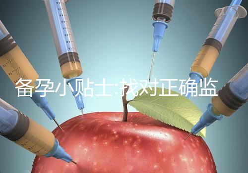 備孕小貼士:找對正確監(jiān)測排卵的時(shí)間才能更好受孕