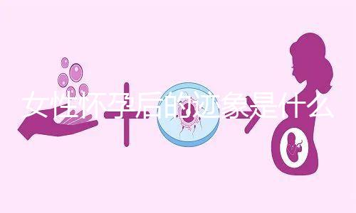 女性懷孕后的跡象是什么？