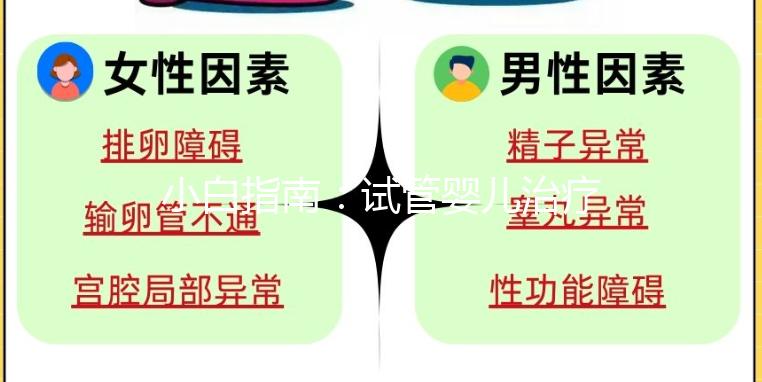 小白指南：試管嬰兒治療五步，檢查促排 胚胎培養