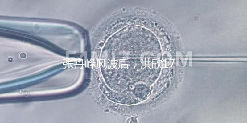 張丹峰風波后，洪欣17歲兒子表白媽媽一家人疑似和好如初