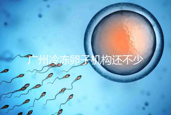 廣州冷凍卵子機構還不少，但國內凍卵這些條件你達成了嗎？