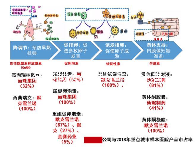 年齡越大越難懷孕！來看看44歲試管嬰兒的成功率有多少？