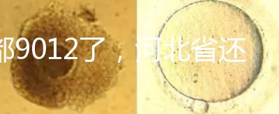 都9012了，河北省還沒三代試管嬰兒醫院，看看姐妹怎么說