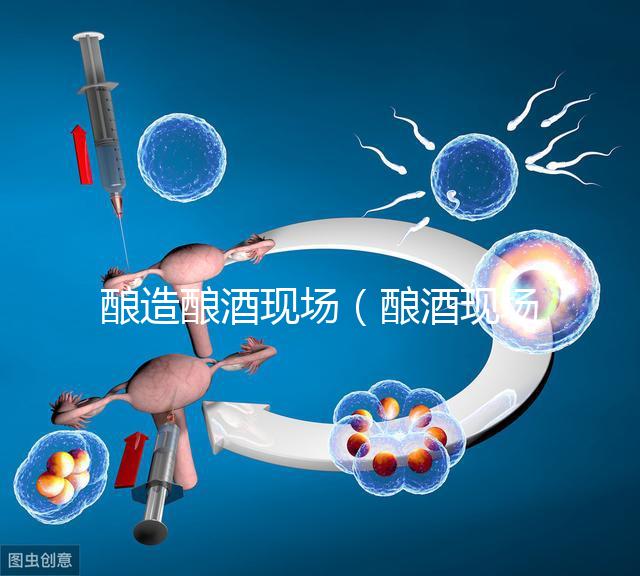 釀造釀酒現(xiàn)場(釀酒現(xiàn)場圖片)