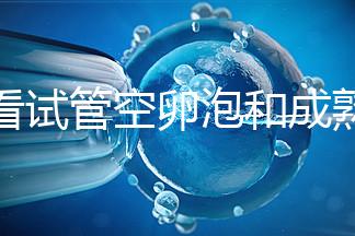 速看試管空卵泡和成熟卵泡能否區分開，這兩大技巧學起來