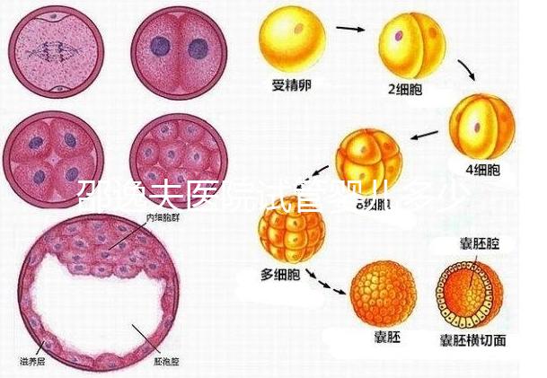 邵逸夫醫(yī)院試管嬰兒多少錢(qián)？全部費(fèi)用明細(xì)為你一一列出