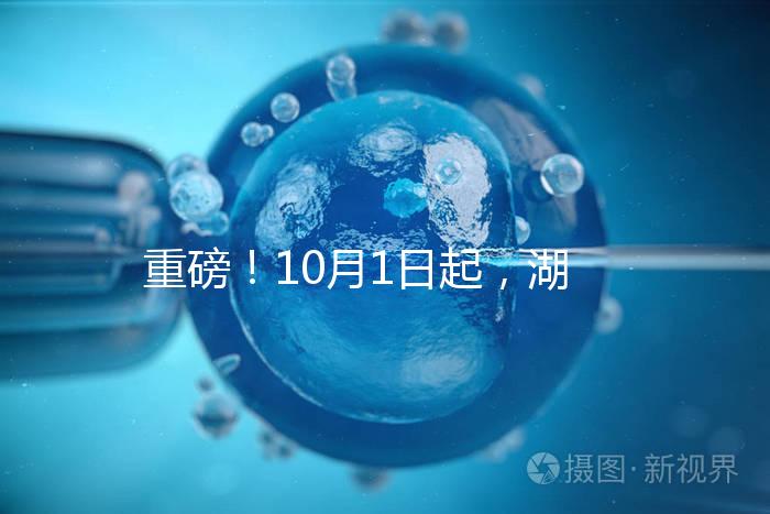 重磅！10月1日起，湖南省試管嬰兒納入醫(yī)保報(bào)銷（附29家醫(yī)保定點(diǎn)醫(yī)院）
