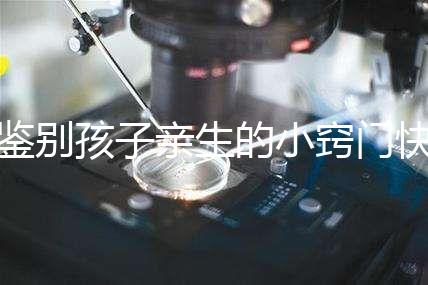 鑒別孩子親生的小竅門快收藏，取牙刷樣本準不準分情況