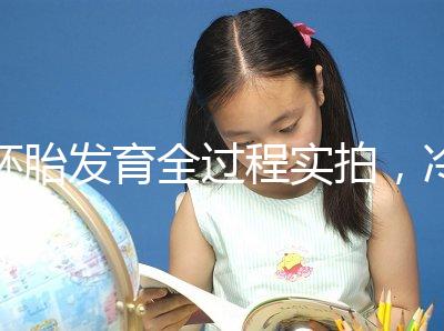 胚胎發(fā)育全過程實拍,冷凍胚胎移植后著床圖解(視頻)