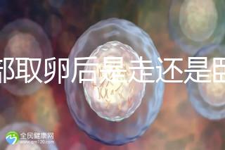 腹部取卵后是走還是臥床？適當走路喝點紅豆水是正確做法