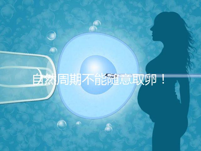 自然周期不能隨意取卵！滿足3點要求才能順利進行