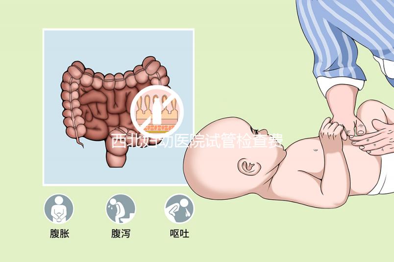 西北婦幼醫院試管檢查費用流出！做完記得來這領報告單