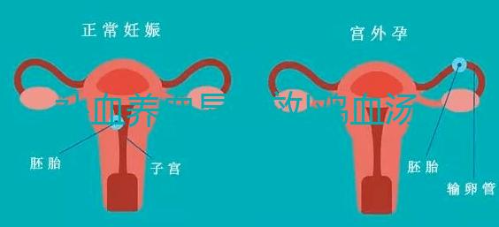 補(bǔ)血養(yǎng)血顯奇效!雞血湯常見的5大功效一覽