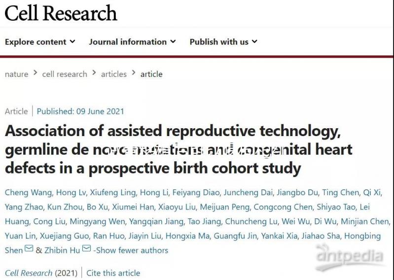 試管移植后可以喝枸杞紅棗湯嗎?能不能提高移植成功率?