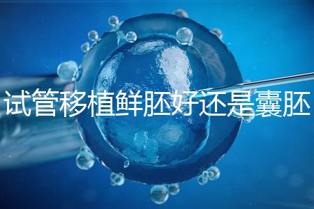 試管移植鮮胚好還是囊胚好 鮮胚和囊胚哪個成功率高