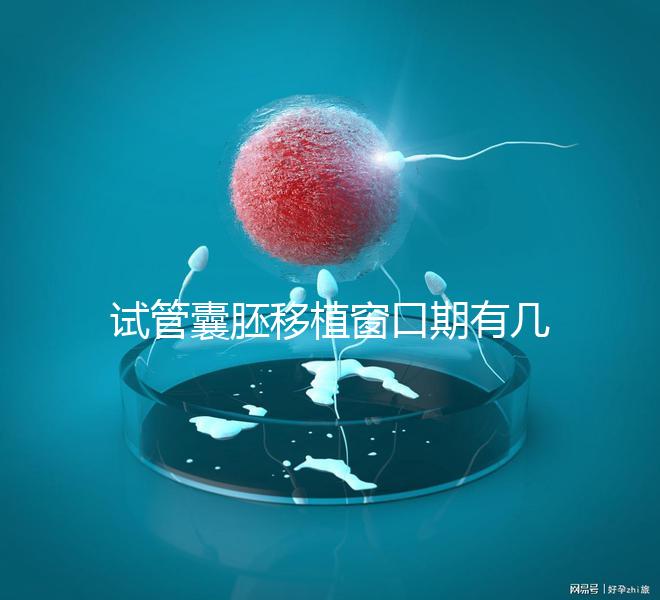 試管囊胚移植窗口期有幾天看這,弄明白什么時(shí)候更易著床