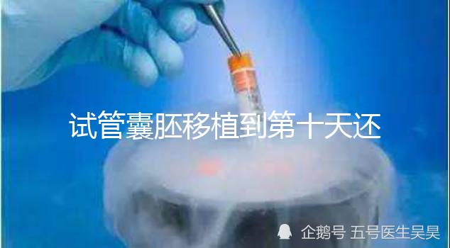 試管囊胚移植到第十天還是白板別擔(dān)心，放松心態(tài)等逆襲吧！