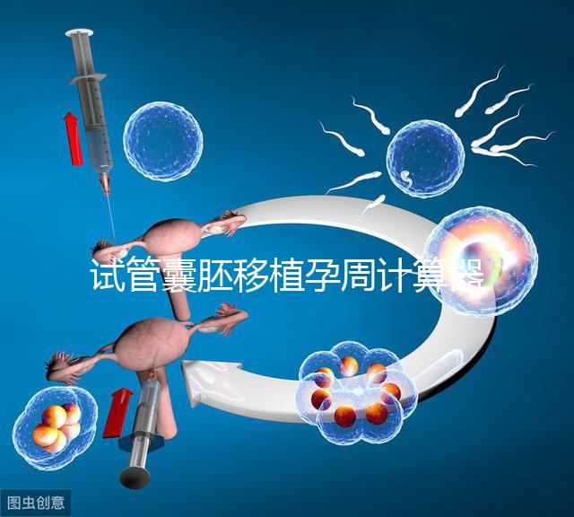 試管囊胚移植孕周計算器，試管嬰兒如何計算孕周和預(yù)產(chǎn)期