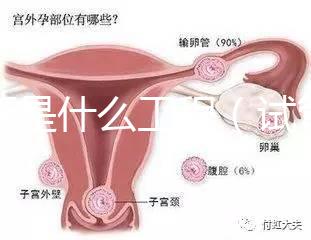 試管是什么工程（試管是什么工程類型）