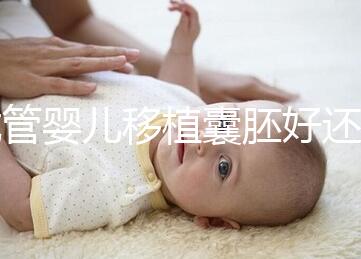 試管嬰兒移植囊胚好還是胚胎好，一文分析