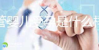 試管嬰兒受孕是什么樣的原理呢？