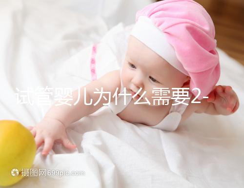 試管嬰兒為什么需要2-3個月？揭秘時間背后的科學奧秘