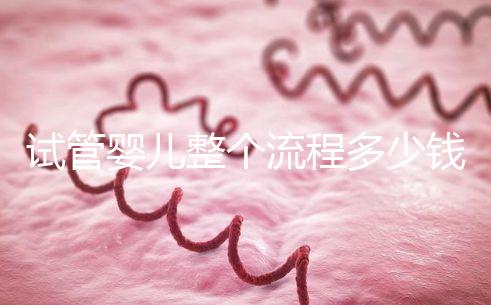 試管嬰兒整個(gè)流程多少錢（試管嬰兒整個(gè)流程多少錢啊）
