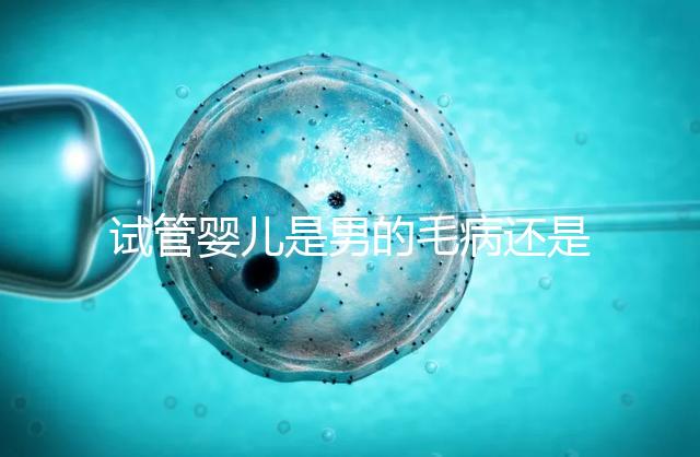 試管嬰兒是男的毛病還是女的毛病（試管嬰兒是男的毛病還是女的毛病呢）