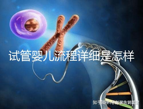 試管嬰兒流程詳細(xì)是怎樣的？步驟+注意事項一文讀懂！