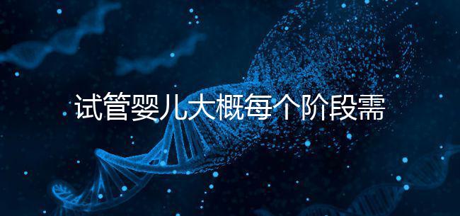 試管嬰兒大概每個階段需要花到多少錢呢？