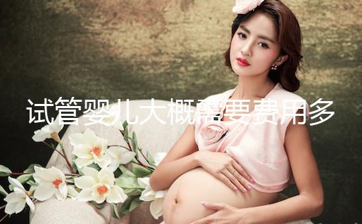試管嬰兒大概需要費用多少？怎么確定花多少錢？