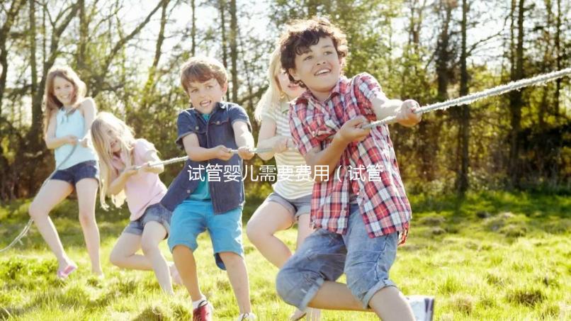 試管嬰兒需要費(fèi)用(試管嬰兒需要費(fèi)用多少錢)