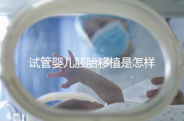 試管嬰兒胚胎移植是怎樣的過程？