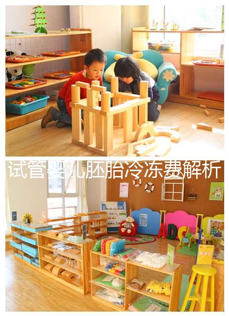 試管嬰兒胚胎冷凍費解析，一年下來大概要花這么多