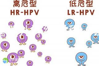 試管嬰兒詳細(xì)過(guò)程（試管嬰兒詳細(xì)過(guò)程小說(shuō)）