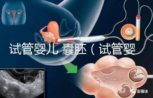 試管嬰兒 囊胚（試管嬰兒囊胚質量等級）