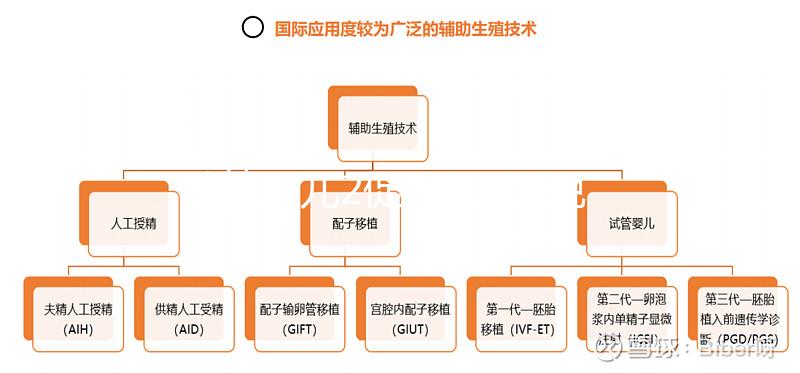 試管嬰兒2促3移，說說5點我的成功懷孕經驗