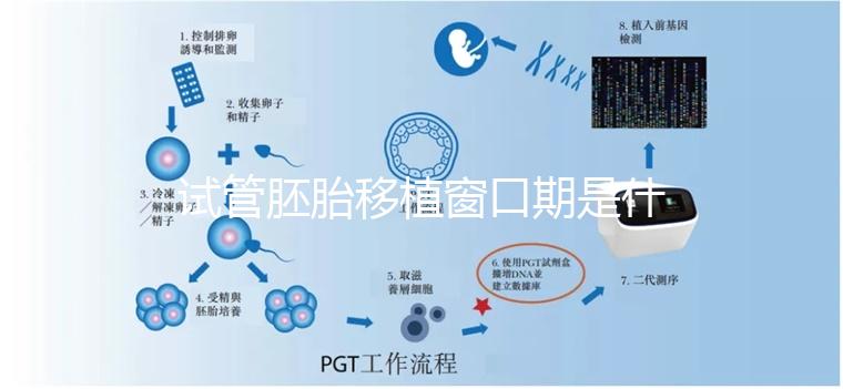 試管胚胎移植窗口期是什么?如何選對時機(jī)?
