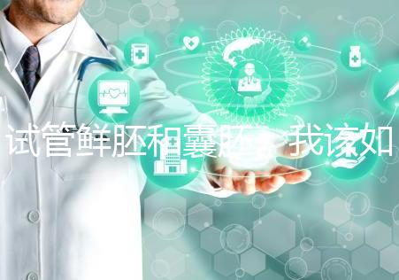 試管鮮胚和囊胚，我該如何選？