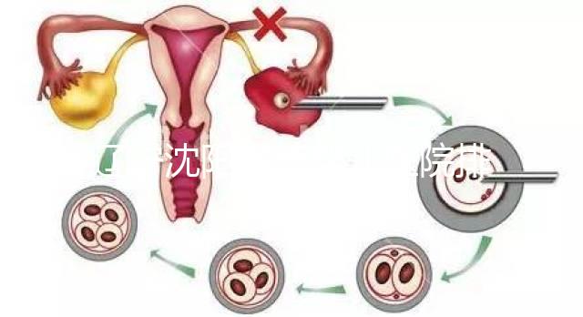 遼寧沈陽試管嬰兒醫院排名匯總新鮮出爐：這14家值得一看！