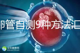 輸卵管自測(cè)9種方法匯總，試紙+晨尿怎么用最準(zhǔn)有竅門