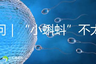 追問|“小蝌蚪”不太給力,一代二代試管嬰兒技術哪個強?