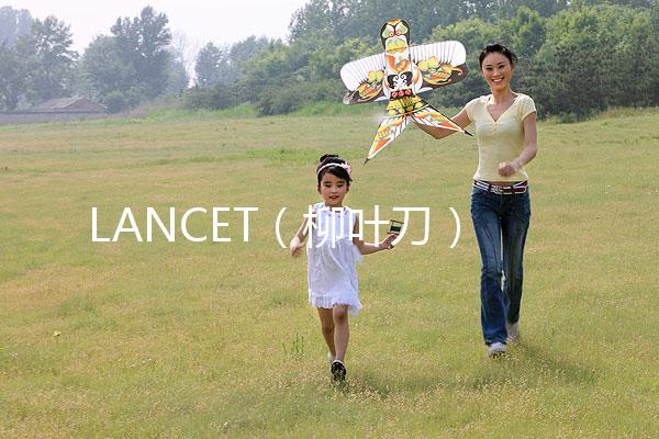 LANCET（柳葉刀）發(fā)表中國學者最新研究成果：“第二代試管嬰兒”技術并不能顯著提高子代活產(chǎn)率醫(yī)藥新聞