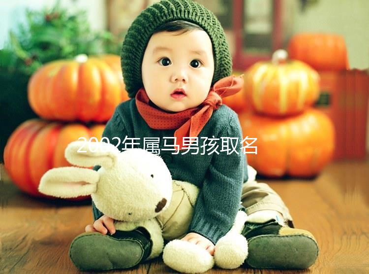 2002年屬馬男孩取名，經典又大氣