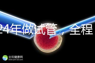 2024年做試管，全程下來要多少錢？