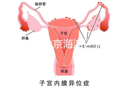 2024年北京海淀區(qū)新生兒醫(yī)療保險處理策略，照片要求不要出錯