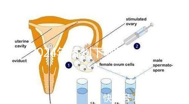 2024年杭州下城區小學生入學條件清單，資料不準備真的上不去