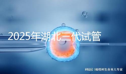 2025年湖北三代試管嬰兒費用明細一覽 附價格清單！