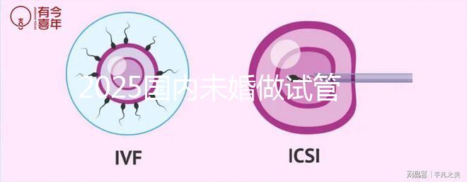 2025國內(nèi)未婚做試管嬰兒的機(jī)構(gòu)都是哪些?