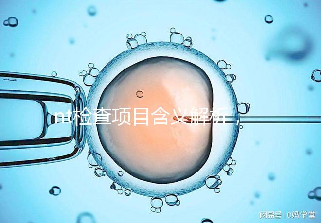 nt檢查項目含義解析,每個內容都相當重要